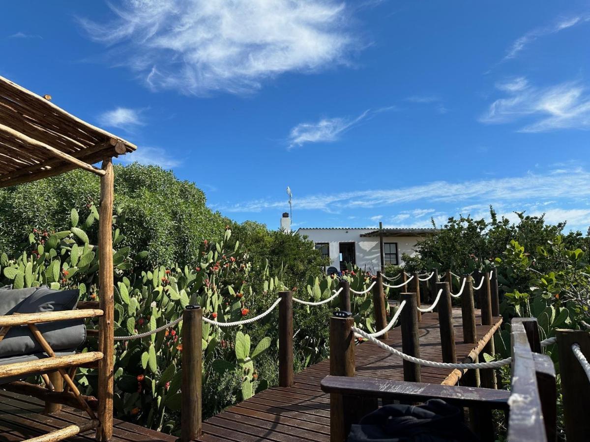 Ostrich Cottage At Les Wings Private Game Farm Groot-Jongensfontein Экстерьер фото