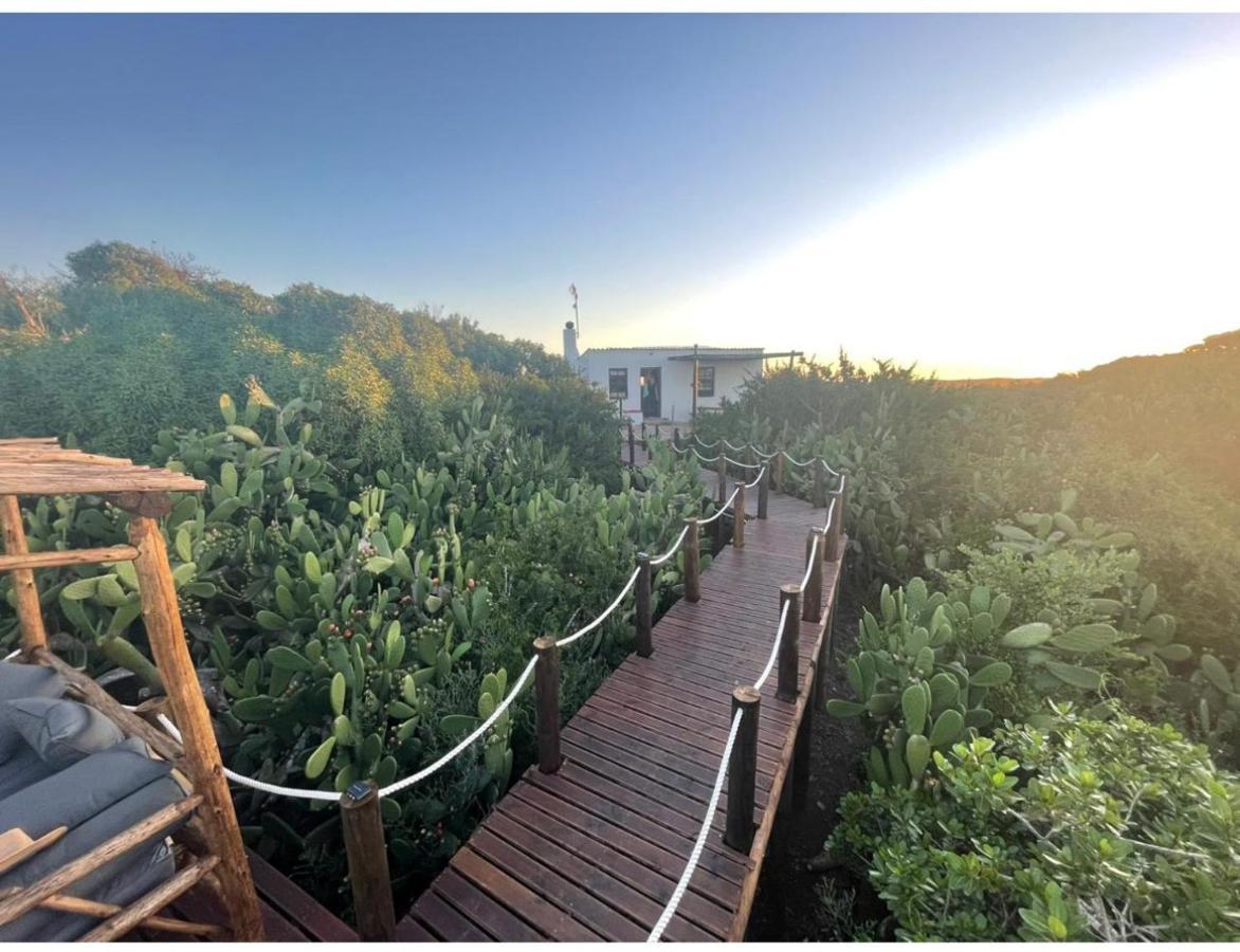 Ostrich Cottage At Les Wings Private Game Farm Groot-Jongensfontein Экстерьер фото
